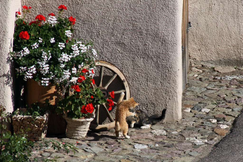 Zu Schgagul Villa Kastelruth Buitenkant foto