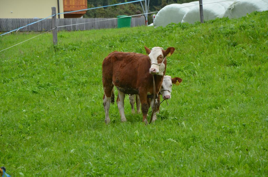 Zu Schgagul Villa Kastelruth Buitenkant foto